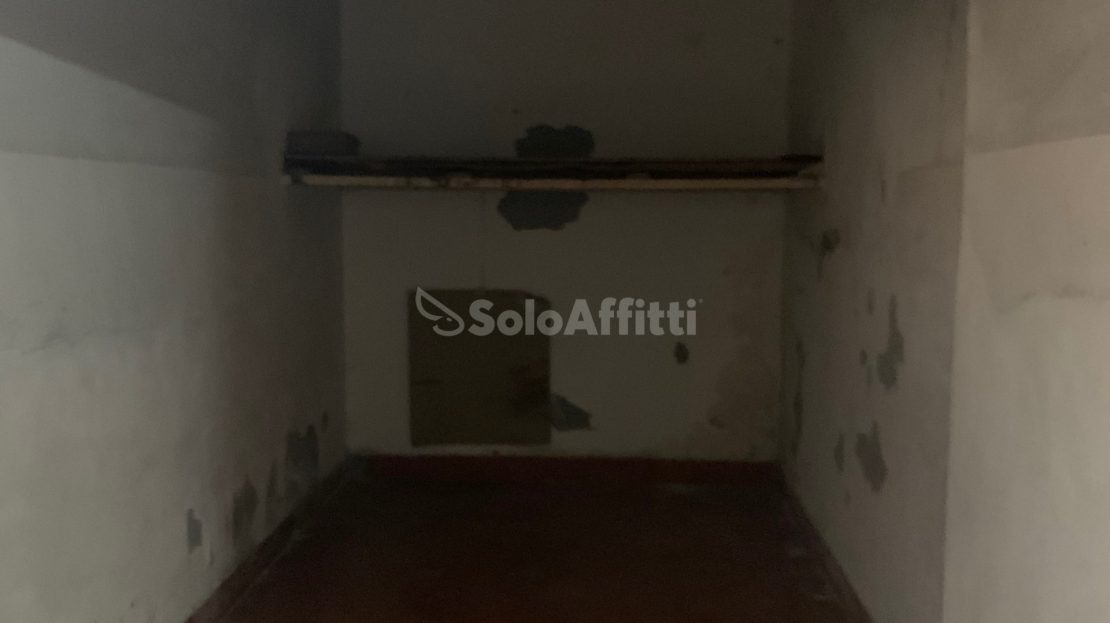 Immagine video