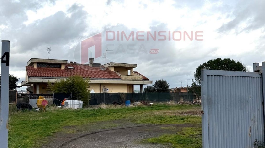Immagine video