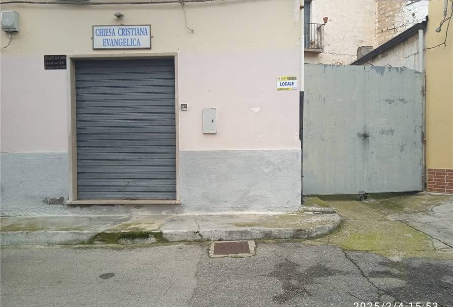 Immagine video