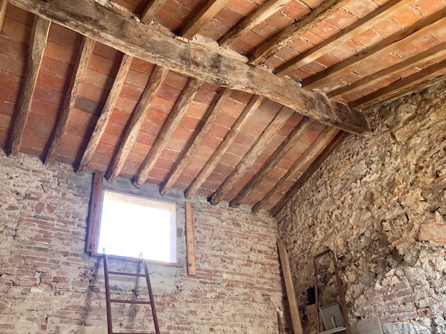Immagine video