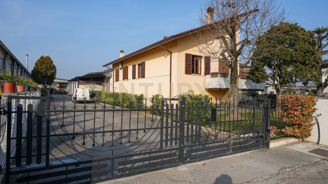 Immagine video