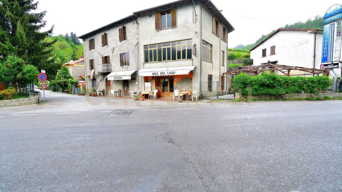 Immagine video