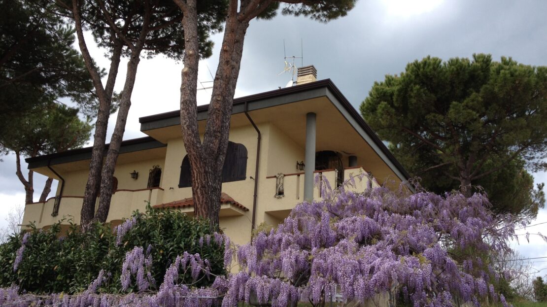 Immagine video