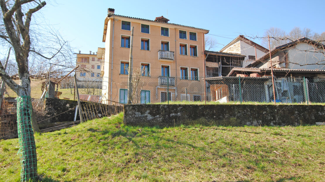 Immagine video