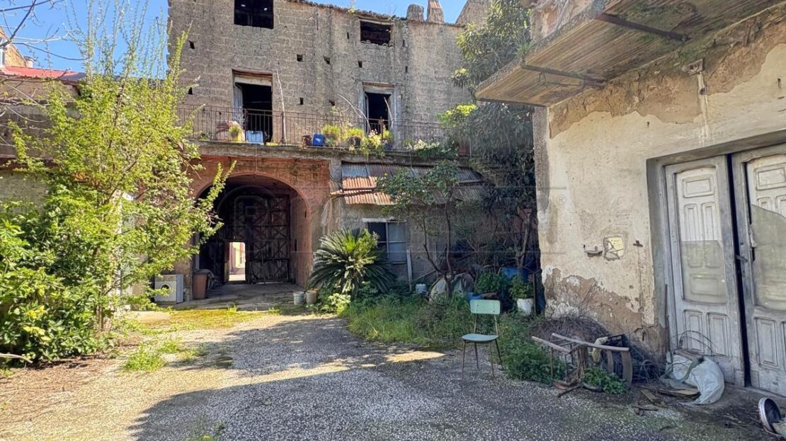 Immagine video