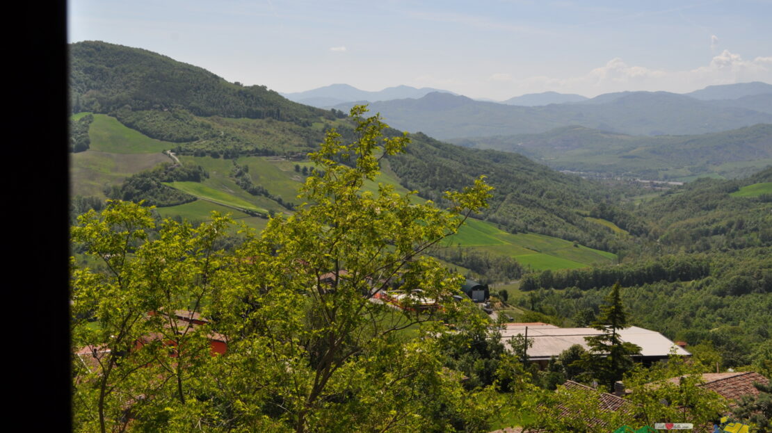 Immagine video
