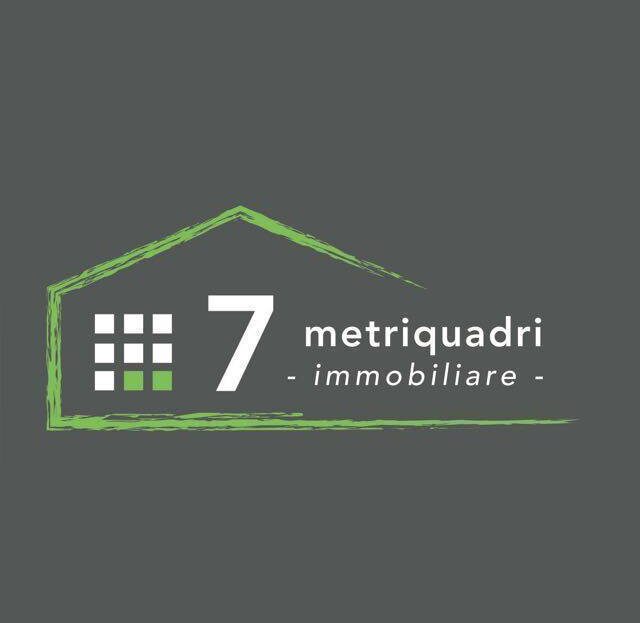 Immagine video