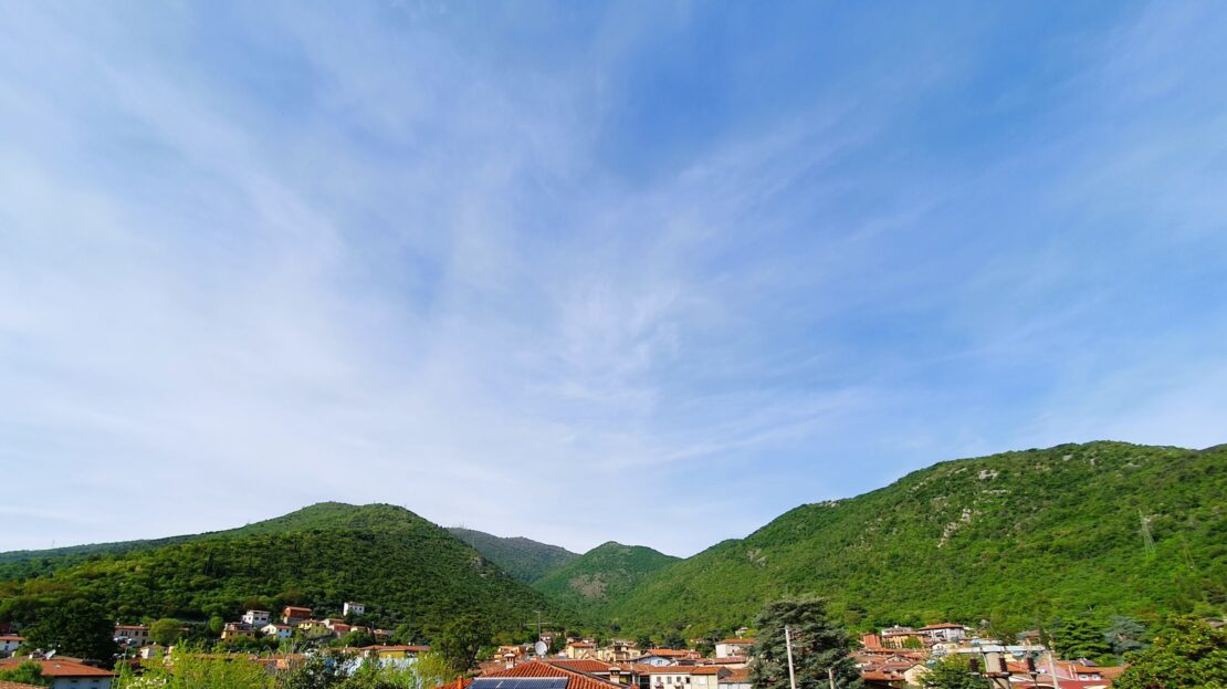 Immagine video