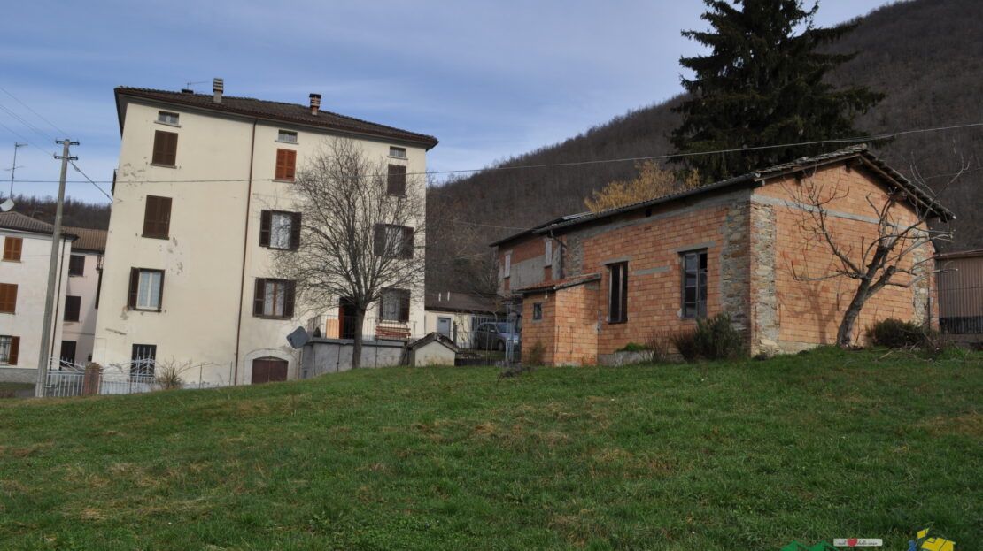 Immagine video