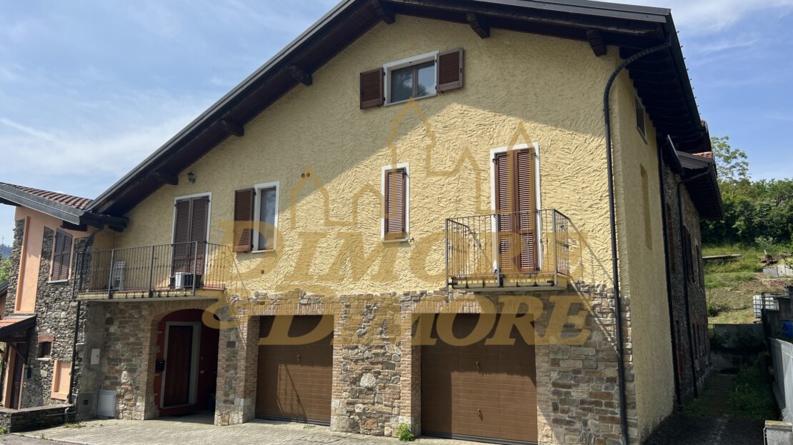 Immagine video