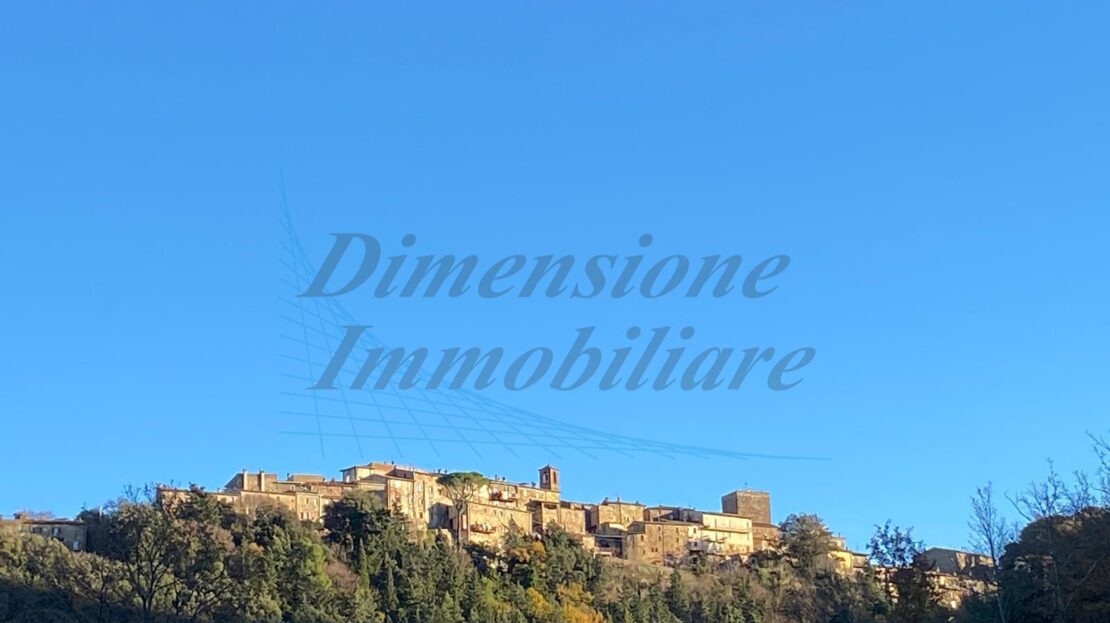 Immagine video