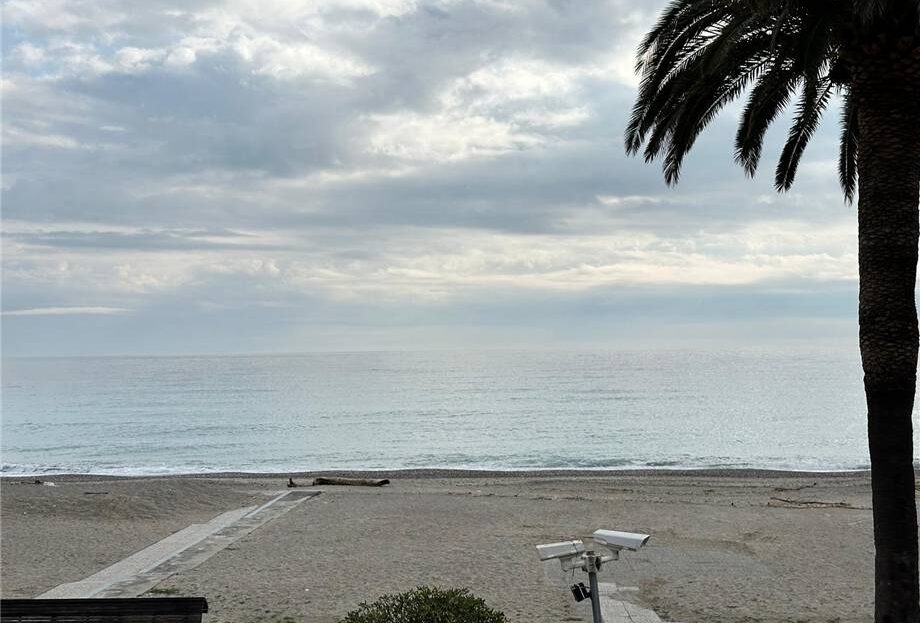 Immagine video