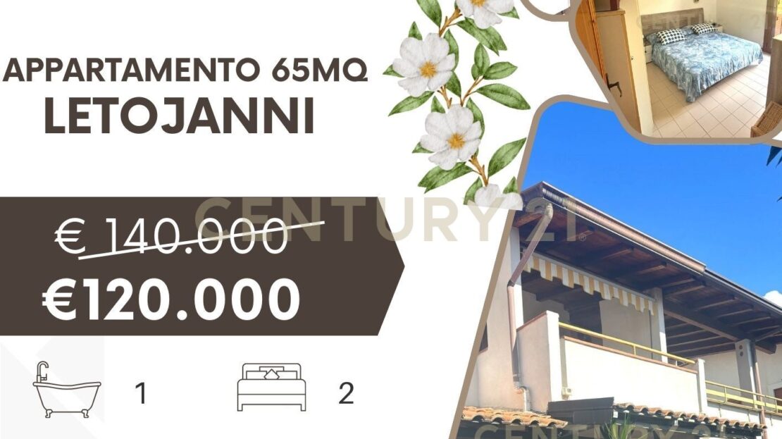 Immagine video