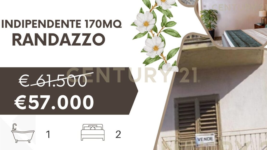 Immagine video