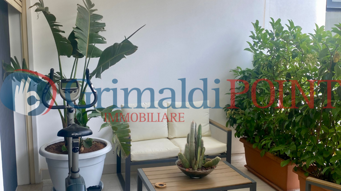 Immagine video