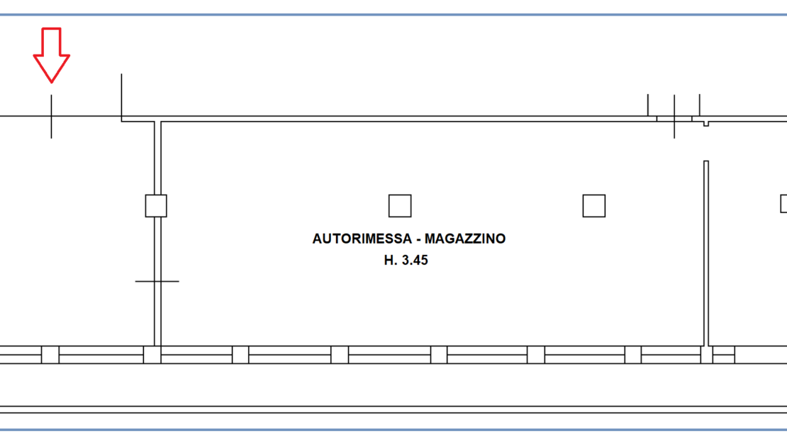 Immagine video