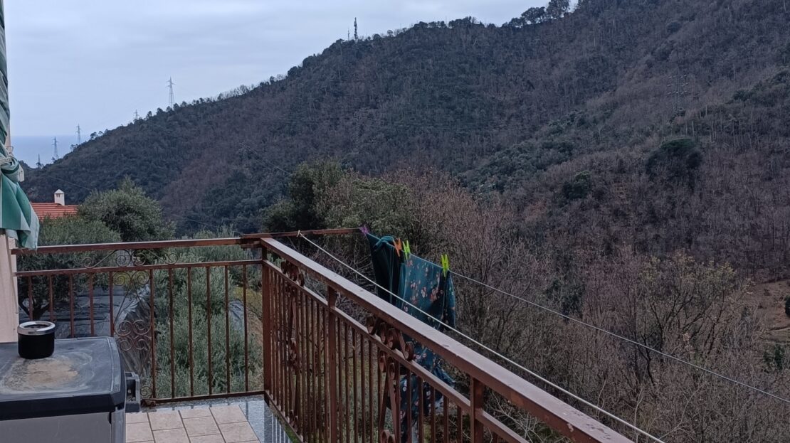 Immagine video