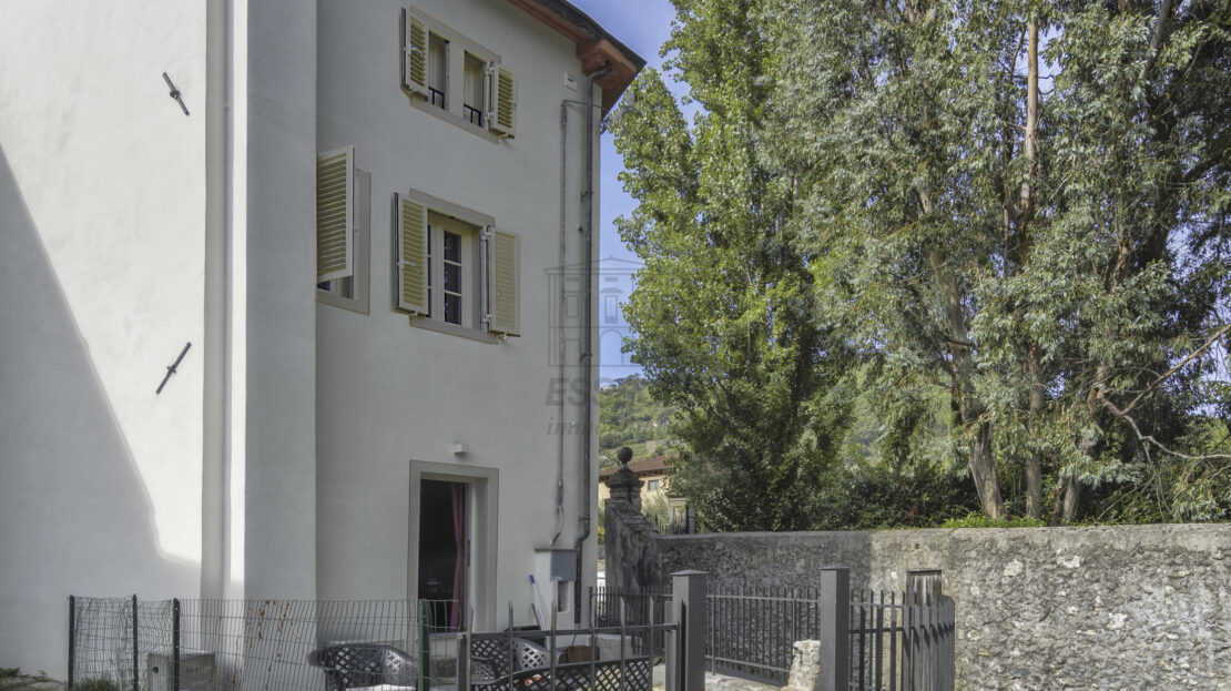 Immagine video