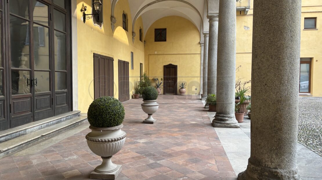 Immagine video