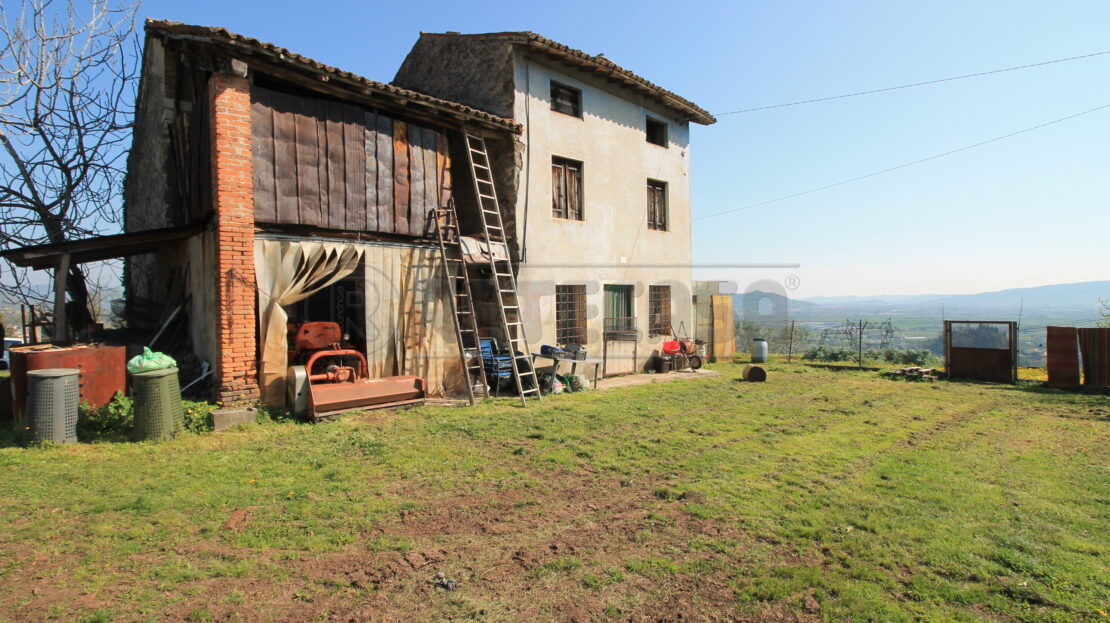 Immagine video