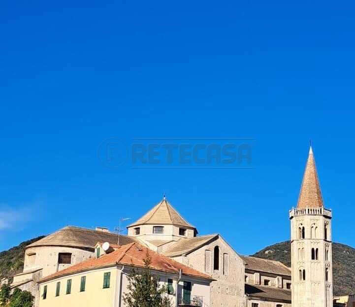 Immagine video