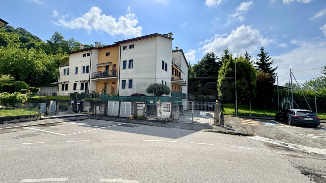 Immagine video