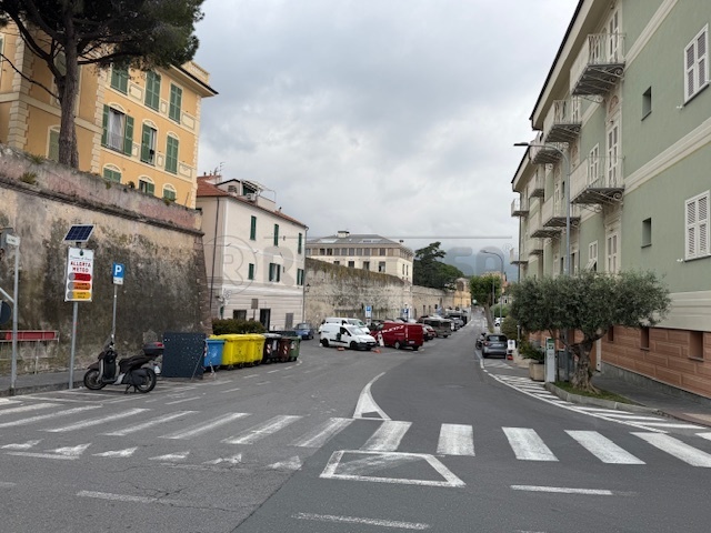 Immagine video