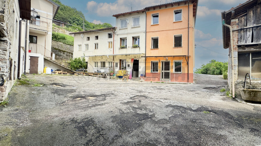 Immagine video