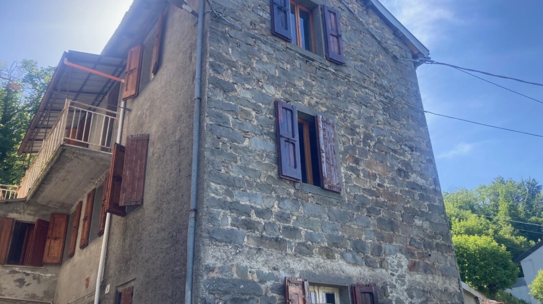 Immagine video