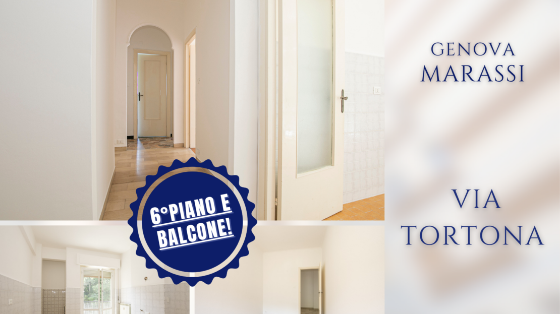 Immagine video