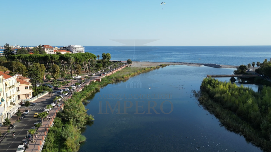 Immagine video