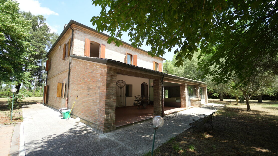 Immagine video