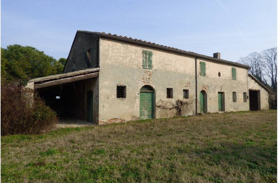 Immagine video