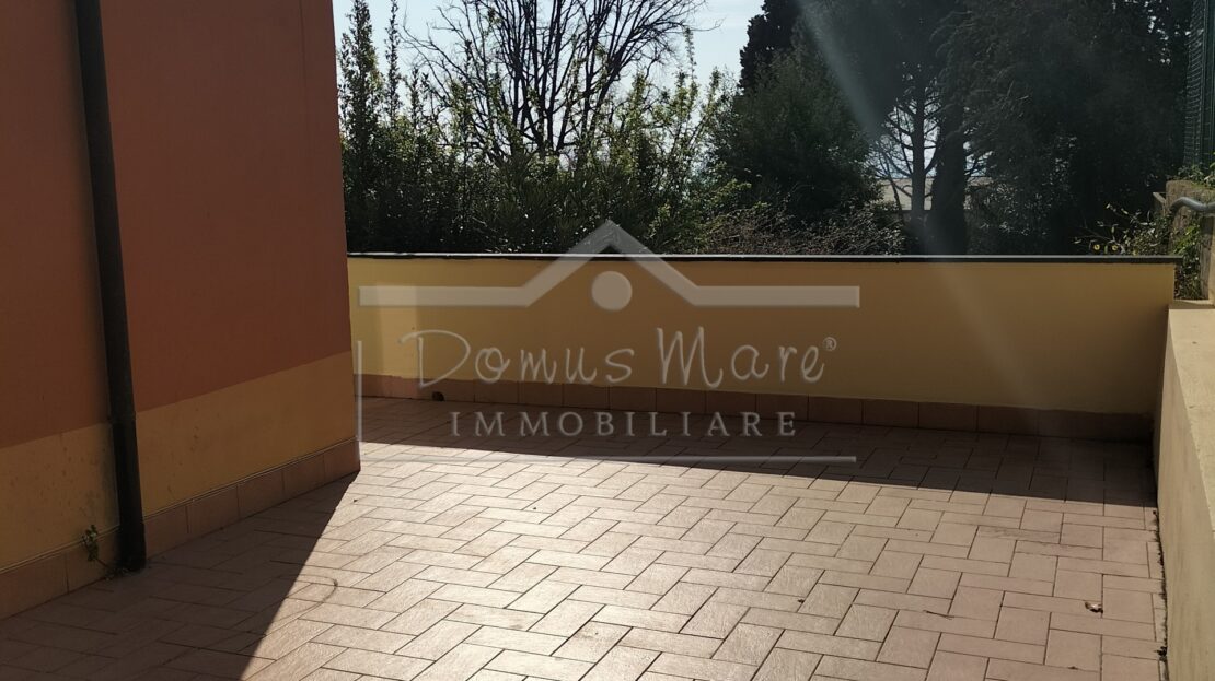 Immagine video