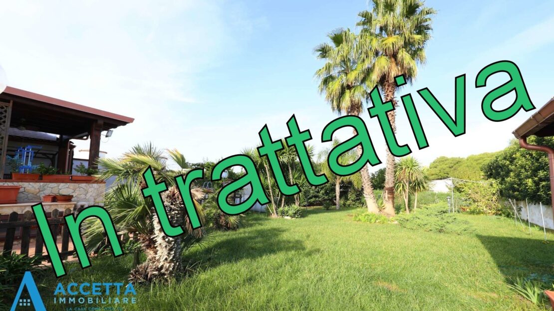 Immagine video