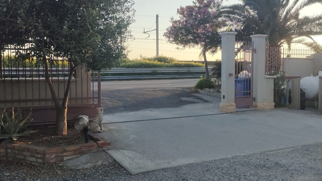 Immagine video