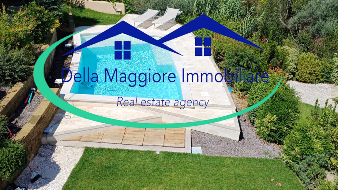 Immagine video