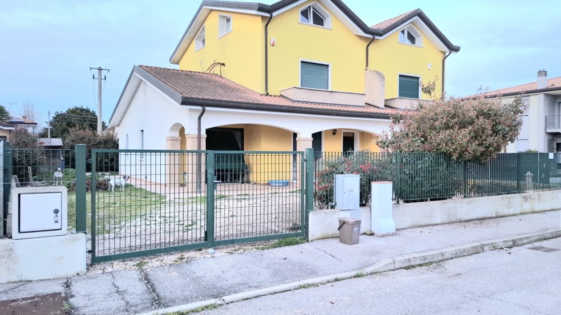 Immagine video