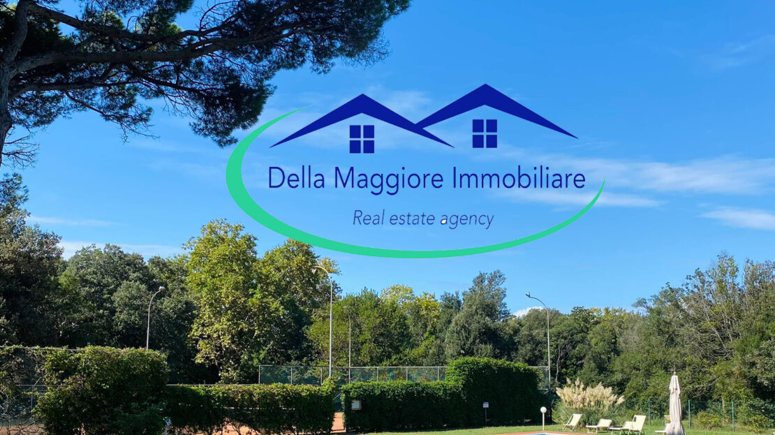 Immagine video