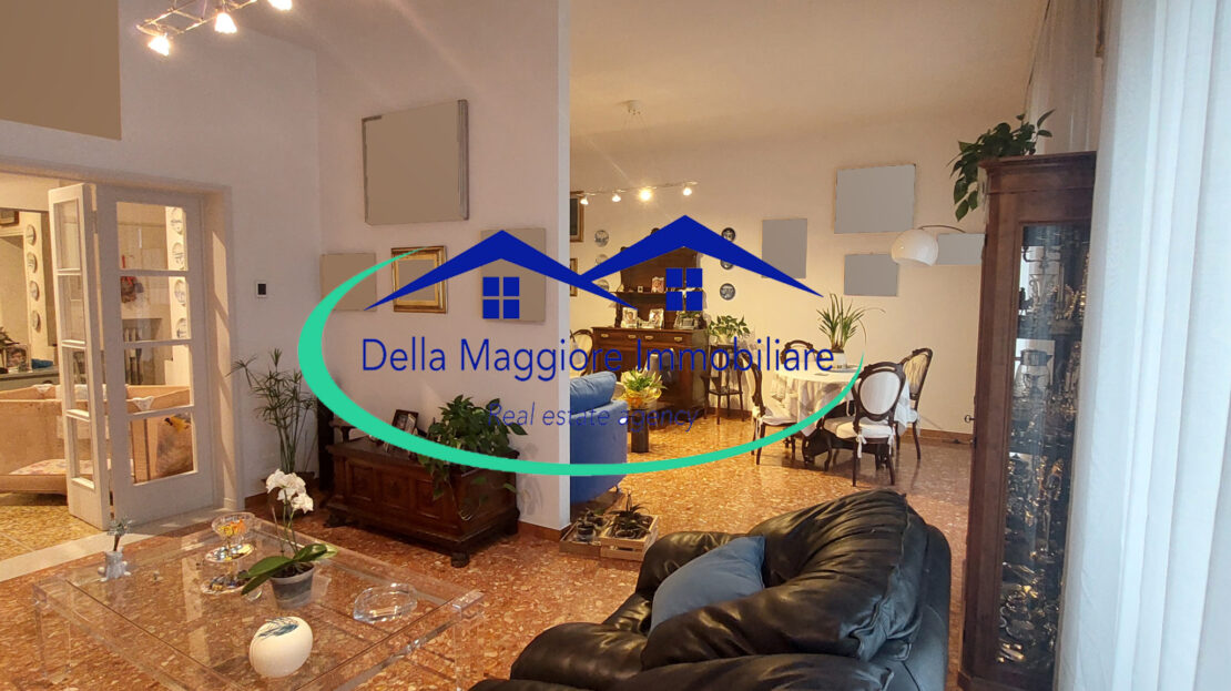Immagine video