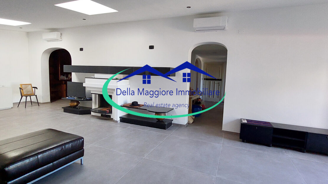 Immagine video