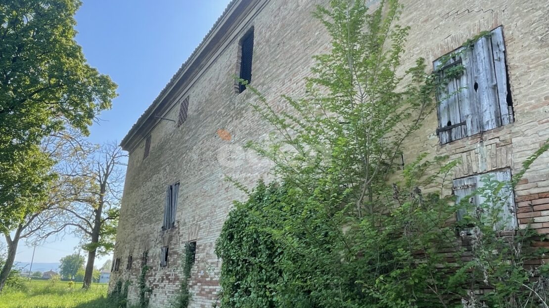 Immagine video