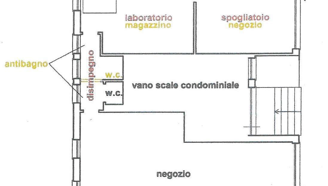 Immagine video
