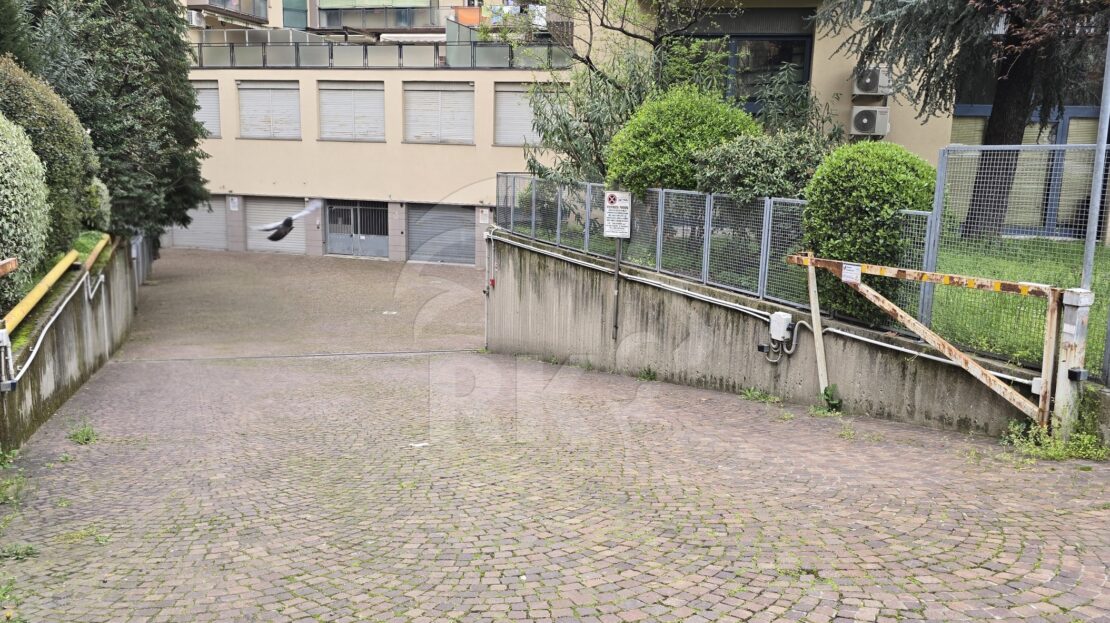 Immagine video