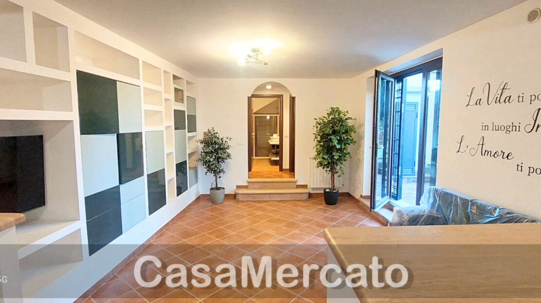 Immagine video