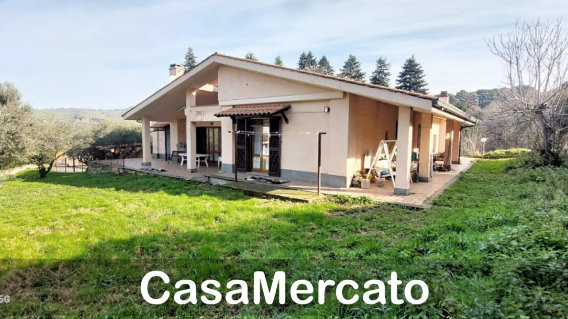 Immagine video
