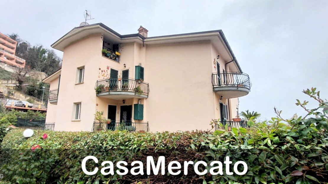 Immagine video