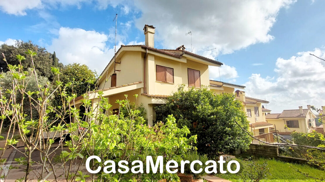 Immagine video