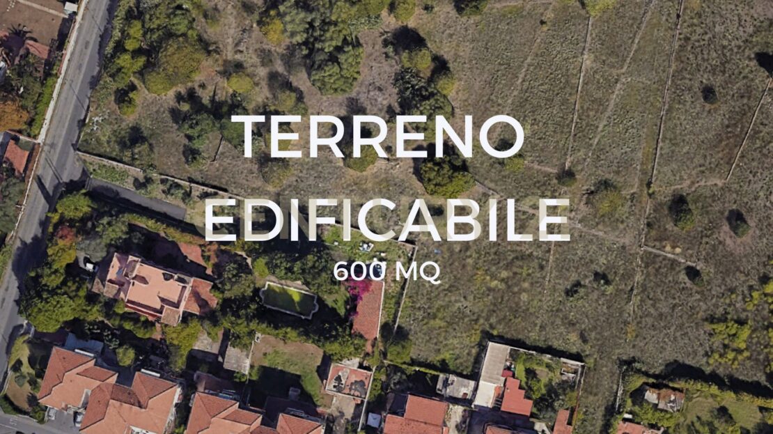 Immagine video
