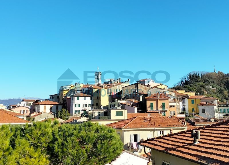 Immagine video
